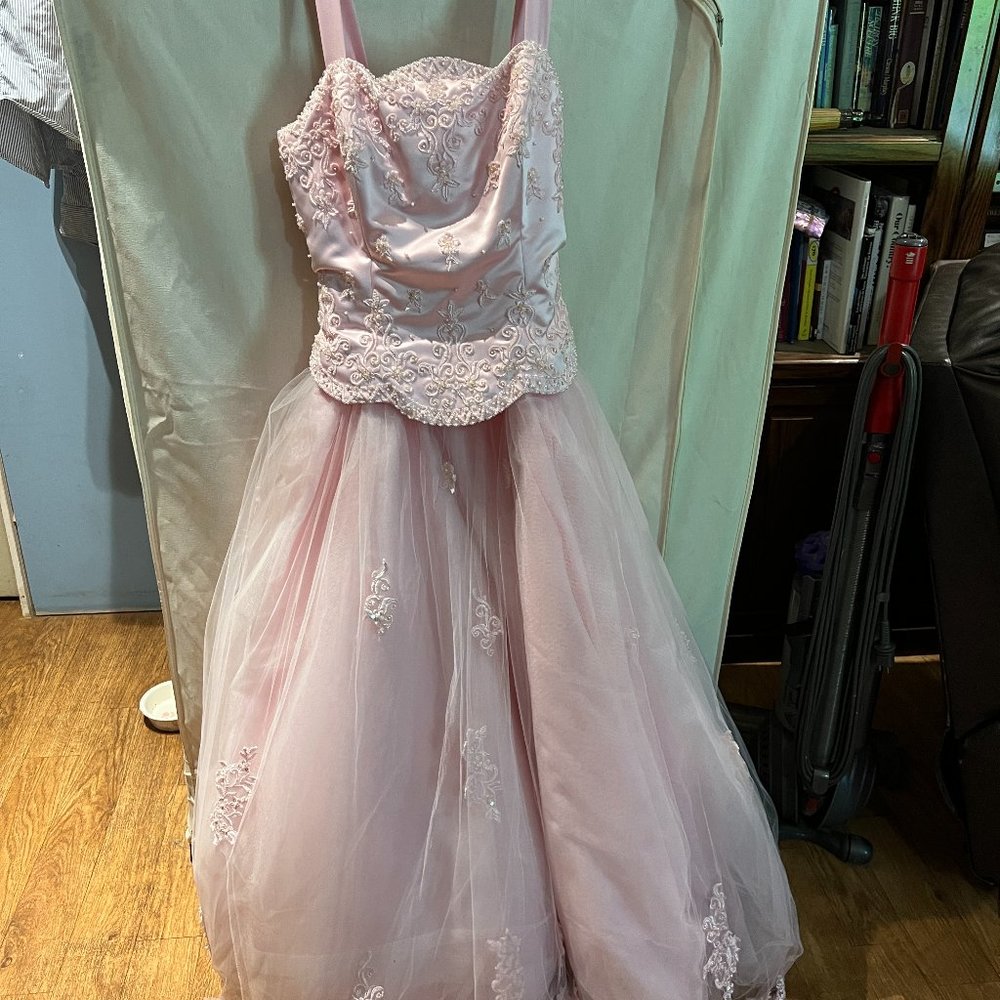 Lenovia, pink formal gown in European size 26